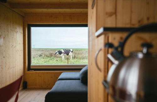 Harlesiel House | Tiny House Nature 9 Zur Kuhweide - Green Tiny Village Harlesiel