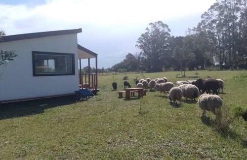 Colonia Chapadmalal House | Tiny House Pura Vida Chapadmalal