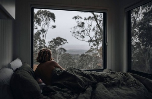 Ramsay Cabin | Tiny Kya Summary: A f