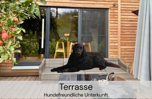 Buhlau House | TinyHousebeiDresden unser größtes winziges Häuschen für bis zu 7 Personen, Kaminofen, große Terrasse - Nähe Sächsische Schweiz - Von Juni - September Mindestmietzeit 1 Woche Sa-Sa