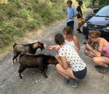 Vialas Other | Tipi Nature a l'Ombre des Tilleuls à Vialas en Cévennes