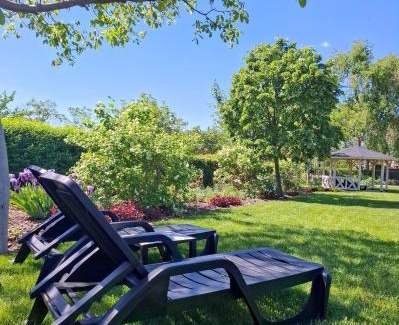 Tiszaderzs Bed & Breakfast | Tisza Lodge B&B - Panzió