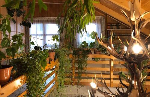 Szentgal House | Tiszafa Vendégház Szentgál