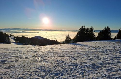 Kopaonik Apartment | TomaR-Gondola