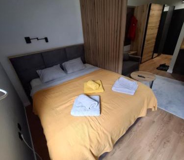 Kopaonik Apartment | TomaR-Gondola