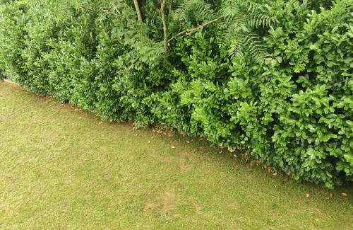 Puntigam Apartment | TOP Ferienwohnung Rosanna - Adults only