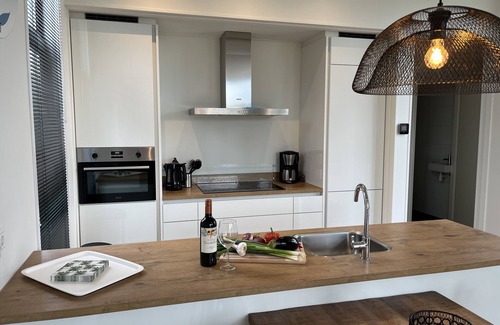 Olburgen House | Top-modernes Chalet 'aan het Strand' mit Großem Garten an der Ijssel