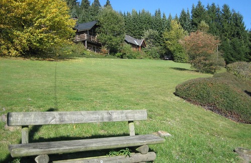 Ortsmitte House | Top Willingen with sauna at ski slope/forest edge. Pet friendly!