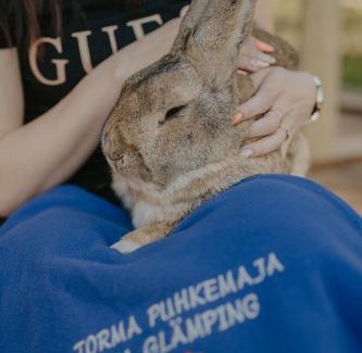 Vilusi House | Torma Puhkemaja ja Glämping