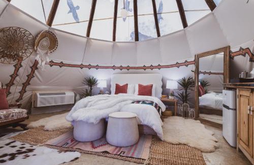 Nogal Other | Toro Tipi at El Mistico Ranch