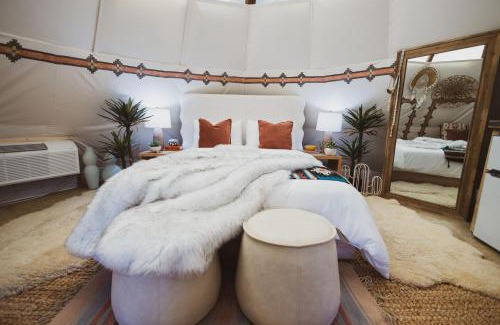 Nogal Other | Toro Tipi at El Mistico Ranch