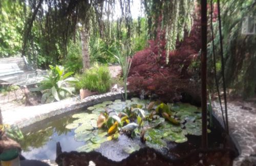 Darnac Bed & Breakfast | Touch of Spain in Rural France