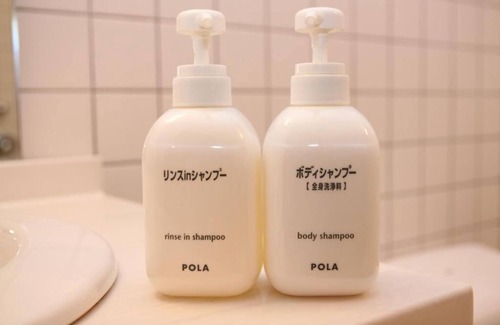 Shirakawa Hotel | TOYOTA Shirakawa-Go Eco-Institute