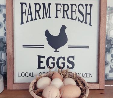 Rozay-en-Brie Apartment | Très joli appartement équipé au calme