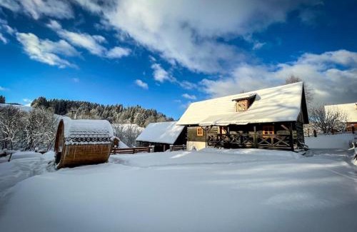 Dolny Kubin Ski Chalet | Traditional deer Cabin with Sauna
