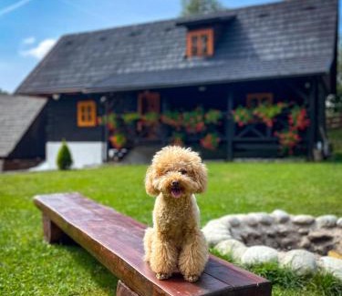 Dolny Kubin Ski Chalet | Traditional deer Cabin with Sauna