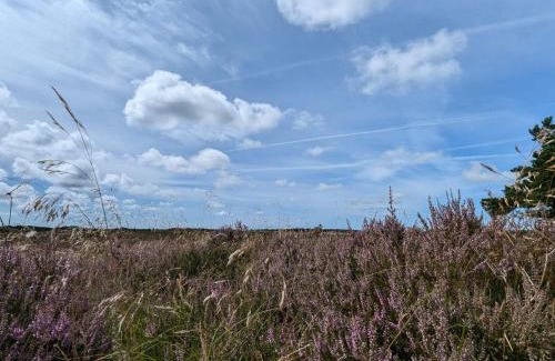 Toftum House | Tranquil Thatched Cottage on Romo-By Traum