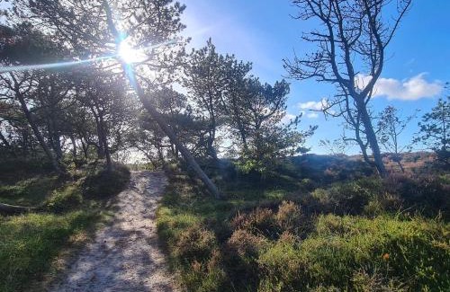 Toftum House | Tranquil Thatched Cottage on Romo-By Traum