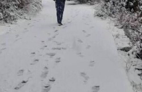 Kaul House | Tranquil View Cottage - 02 Bedroom Home with View