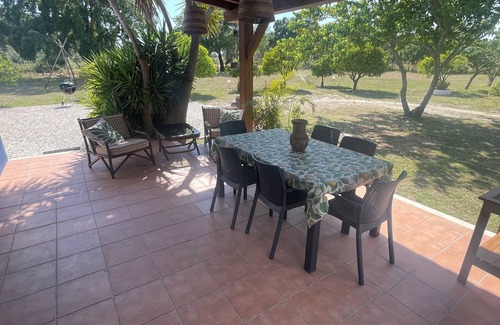 Canha Cottage | Tranquila Quinta Portuguesa a 45 Minutos de Lisboa com Arvores Frutos e Vinha