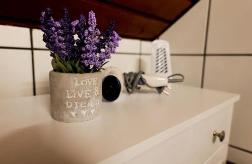 Three Oaks Apartment | Transylvanian Hideaway Apartment