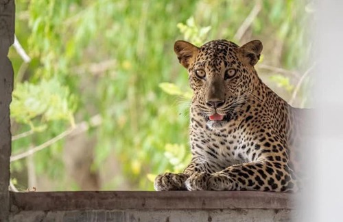 Pottuvil Division 2 Boat Rental | travel shadow