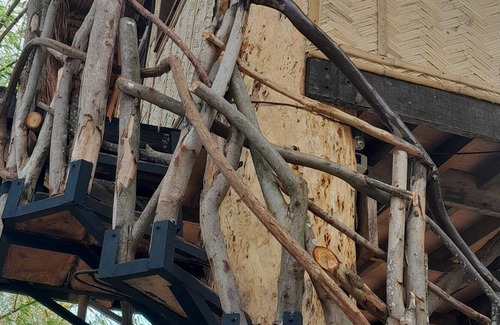 Castillejos Apartment | Traveler's Treehouse near Mapanuepe Lake