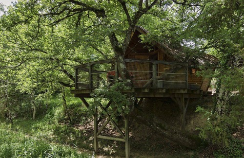 Sigonce Cabin | Tree House-Ensuite with Shower-Cabane dans l'arbre