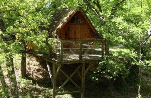 Sigonce Cabin | Tree House-Ensuite with Shower-Cabane dans l'arbre