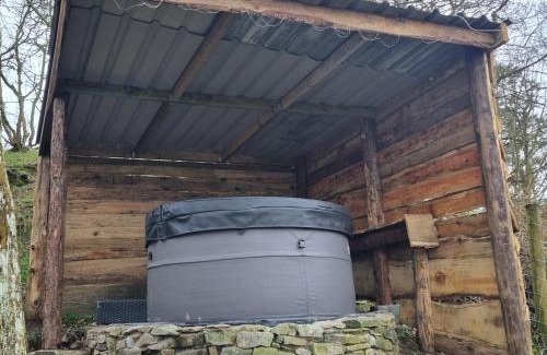 Oakford House | Tree House