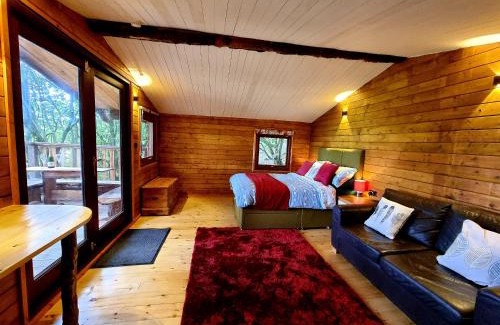 Oakford House | Tree House