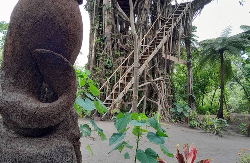 Isangel Apartment | Tree House