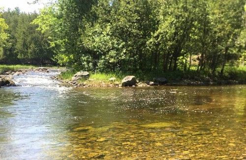 Lanark House | Treehouse perched on the water’s edge