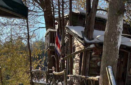 Lanark House | Treehouse perched on the water’s edge
