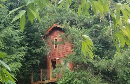 Snohomish Cabin | Treehouse Place at Deer Ridge Featured top 10 USA