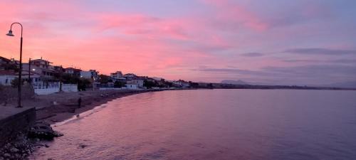 Petalidi Apartment | Tropical Beach "Nereus"