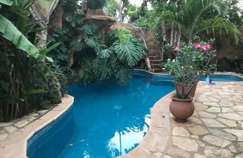 Dakar Apartment | tropical oasis