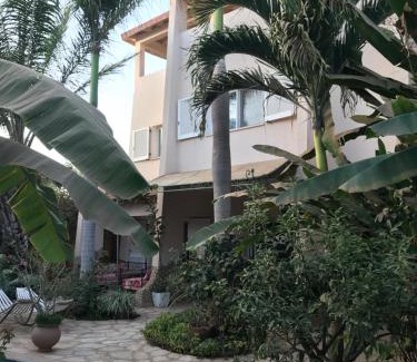 Dakar Apartment | tropical oasis