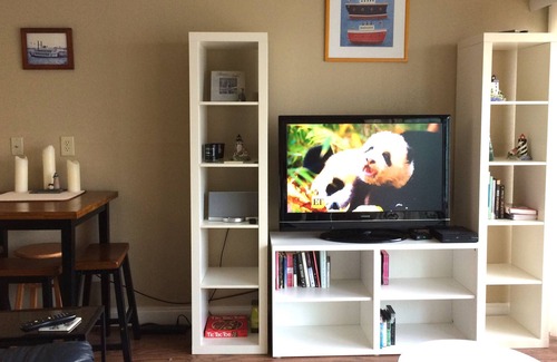 Seven Coves Condo | Tsui Manor @ 7 Viker, No. 5 - Fish or just relax on the balcony above the water