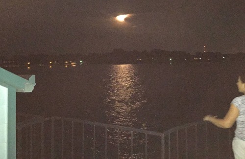 Seven Coves Condo | Tsui Manor @ 7 Viker, No. 5 - Fish or just relax on the balcony above the water