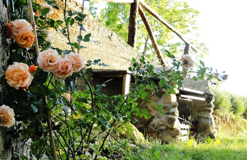 Turlago Apartment | Turlago: Relax in still unspoilt and authentic part of Tuscany