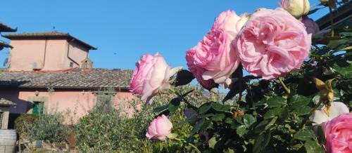 Greve in Chianti Apartment | Tuscan rooms