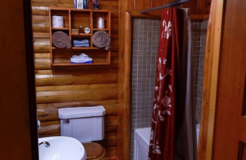 Dubois Cabin | Twin Pines Lodge & Cabins