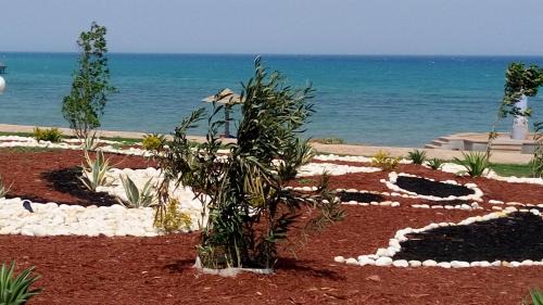 Ras Sudar Ski Chalet | Two-Bedroom with Sea View Roof Top Chalet - Orora Village