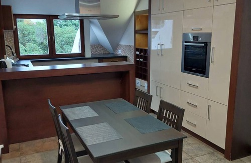 Sielce Condo | Two-level Sielecka Apartment