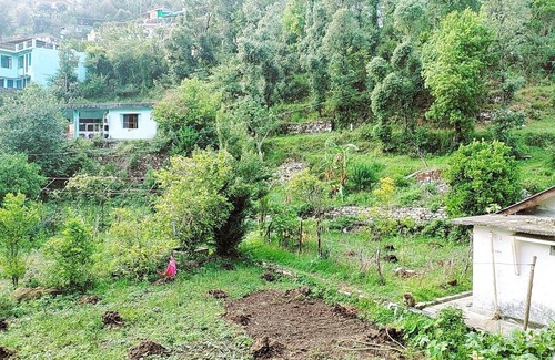 Bhowali House | Two Private 1BHKs with Terrace & Backyard Access