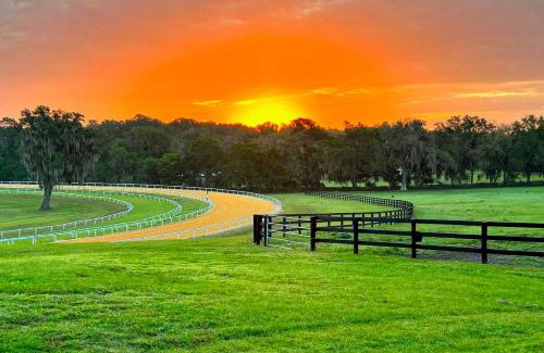 Micanopy House | Two Springs Farm Guesthouse A