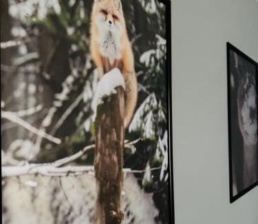 Nowa Huta Apartment | Twoje prywatne SPA - jacuzzi, sauna, tężnia solankowa