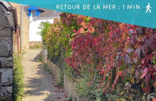 Larmor-Baden Apartment | Ty Gavrinis - T2- Centre Bourg - 100m de la mer