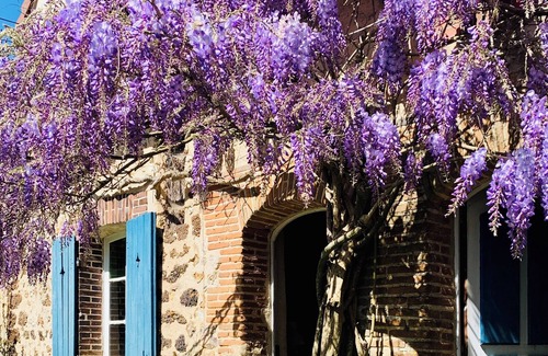 Saint-Eliph House | Typical Charming Percheron House, 1h45 From Paris